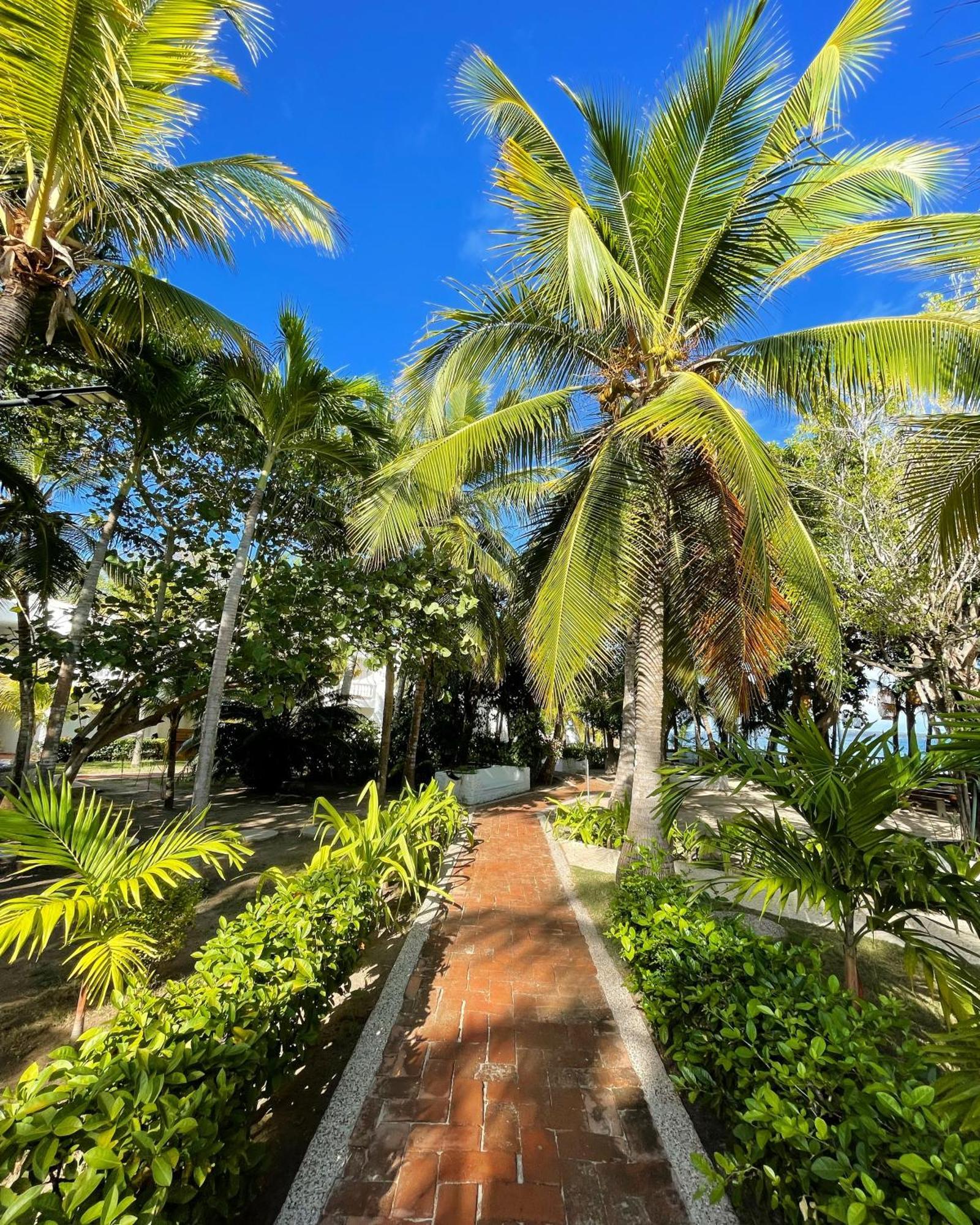 Cocoliso Island 3* Cartagena